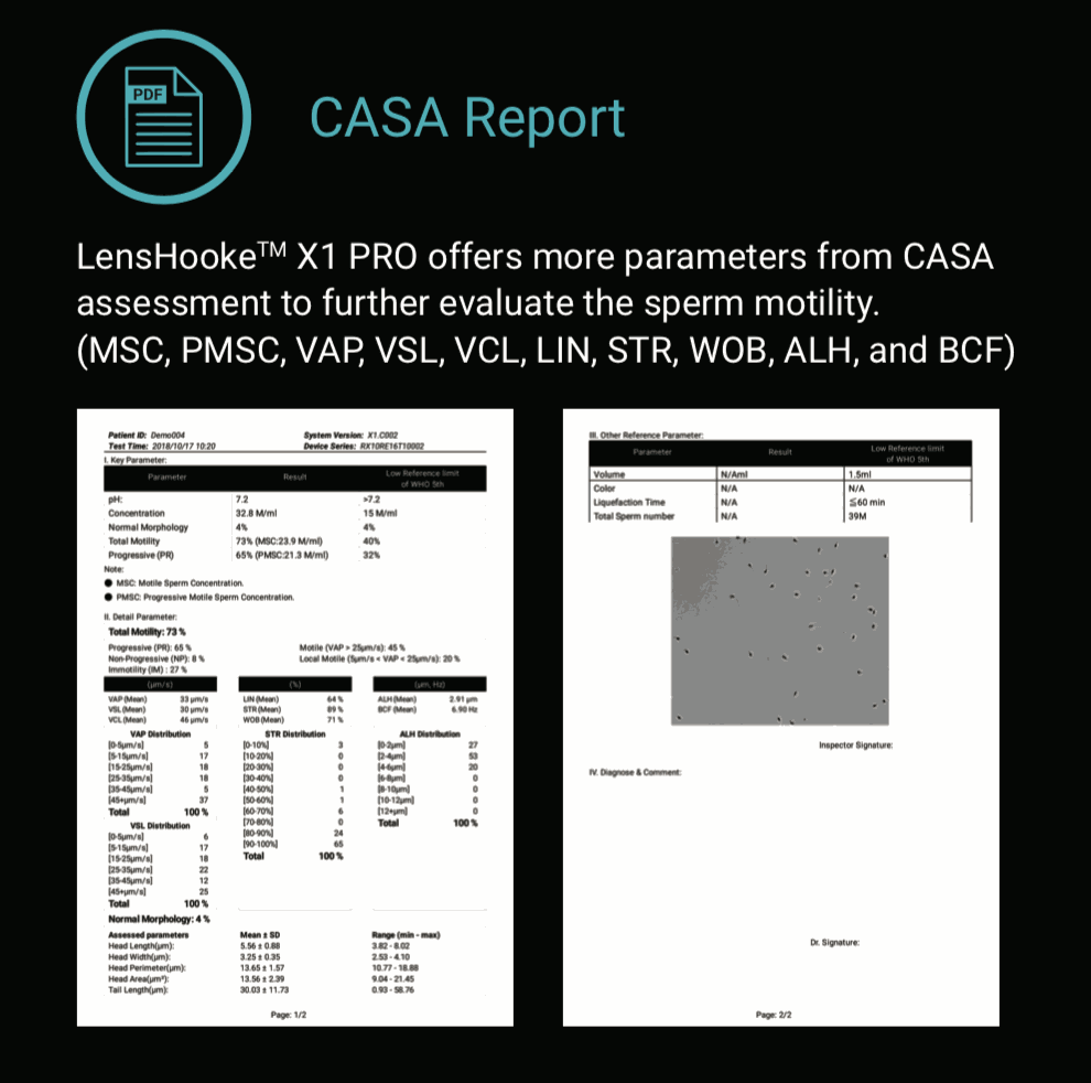 Abbildung Casa Bericht