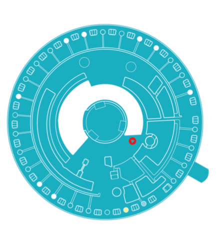 Blutgase Vet - 10 Tests